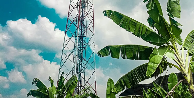 In Nigeria, the main targets included telecommunications resellers and computing infrastructure providers. (Image source: NETSCOUT) Tower_in_Ibadan_Nigeria